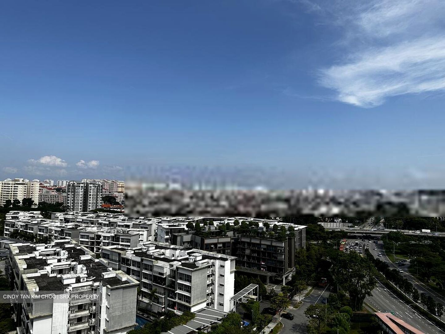 Urban Treasures (D14), Condominium #411037781